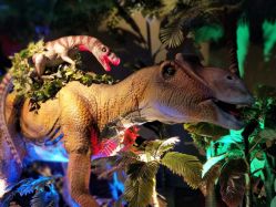 -恐龙探索乐园(磁器口店)