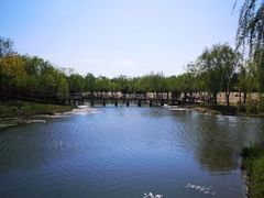 -东郊湿地公园