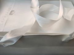 -BLACKSWAN黑天鹅(环球店)