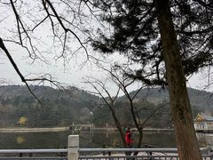 -庐山风景区花径公园