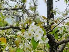 -白塘生态植物园