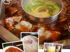 -蜀香居鲜毛肚火锅