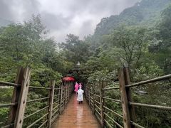 -青城山
