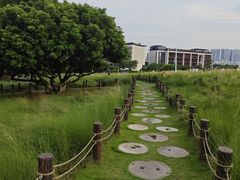 -红花山公园