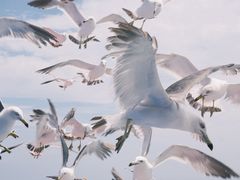 -海驴岛(荣成市)