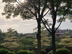 -东莞植物园