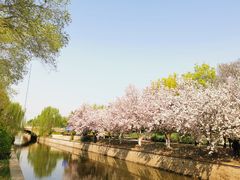 -海棠花溪(元大都城垣遗址公园)