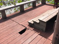 -漩门湾国家湿地公园