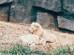 -北京野生动物园