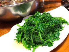 豌豆尖-毛草房(南辛庄街店)