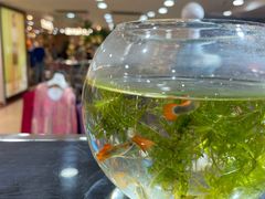 -摩登百货(岗顶店)