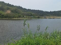 -朱家尖蜈蚣峙码头