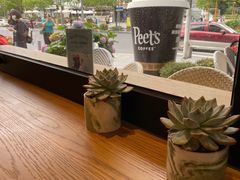 -Peet's Coffee皮爷咖啡(大学路店)