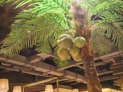 -大头椰·椰子鸡火锅(南宁万象城店)