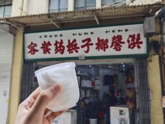 -洪馨椰子