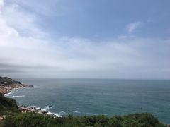 -广东惠东海龟国家级自然保护区