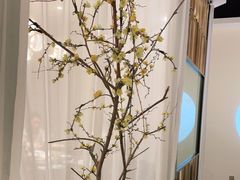 -上地宴·中关村的会客厅(清河高铁站店)