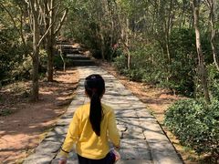 -天台山赤城山景区