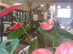 -桉树林A coffee 森林餐厅(三圣乡店)