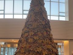 -天津海河悦榕庄·Lobby Lounge大堂吧