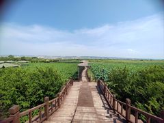 -处女泉风景名胜区