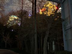 -东方明珠老上海8号餐厅(东方明珠广播电视塔店)