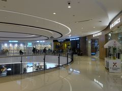 -杨梅红艺术教育(万象城教学中心)