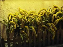 -王婆炒鱼(总店)