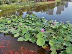 -西海子公园