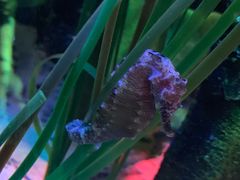 -沈阳海洋探索中心