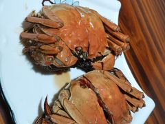 -呼吸森林·生态农庄农家乐私房菜