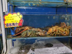 水产区-蚝专家(北滘店)