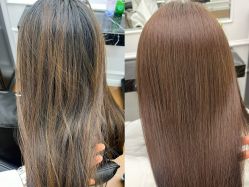 -时尚殿堂salon
