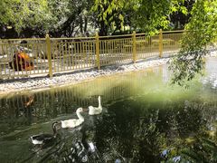 -宗角禄康公园