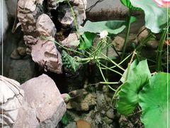 -灶东家民间菜(回兴店)
