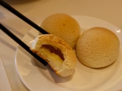 雪岭雄峰-利苑酒家(合景国际金融广场店)