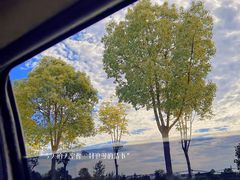 -素山寺森林公园