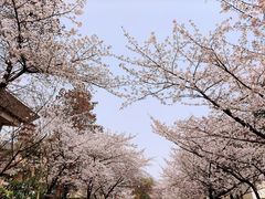 -鸡鸣寺