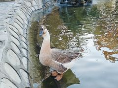 -北京市海淀外国语实验学校