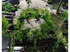 -聚缘·湘味音乐餐厅party(罗湖店)