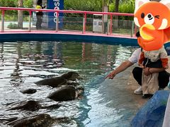 -北戴河圣蓝海洋公园