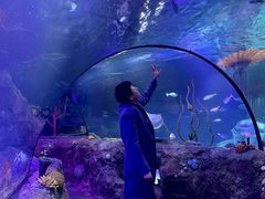 -沈阳海洋探索中心