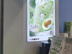 -一只酸奶牛(春熙路店)