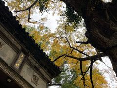 -无锡惠山寺