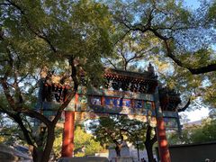 -北京国子监胡同