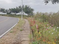 -密云玫瑰情园