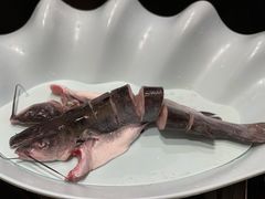 -老刘生态大鱼坊铁锅炖鱼(赛马场店)