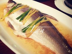 抱腌过的浪里白条-老头儿油爆虾(星光一期店)