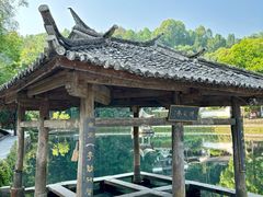 -蔺大妈松花糕