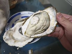 -新农都水产市场